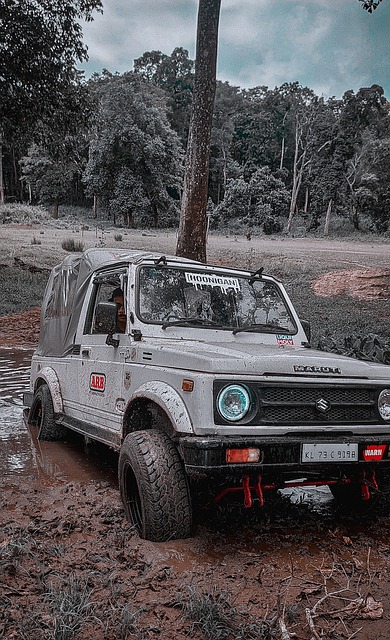 浦在长远规 浦在长远规