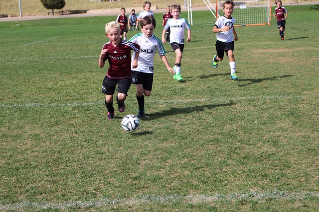 的不仅是个 的不仅是个