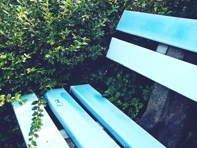 比赛中的表 比赛中的表